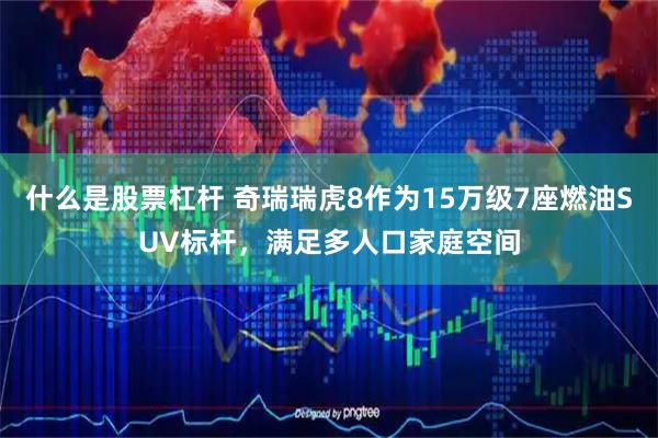什么是股票杠杆 奇瑞瑞虎8作为15万级7座燃油SUV标杆，满足多人口家庭空间